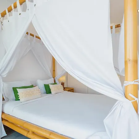 Dino With Ocean View