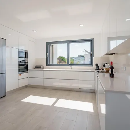 Dino With Ocean View