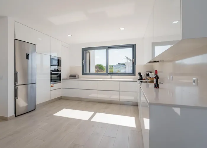 Dino With Ocean View